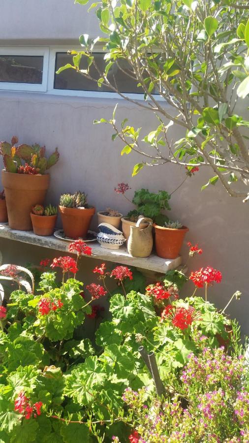 The Gift Apartment Agulhas Exterior photo